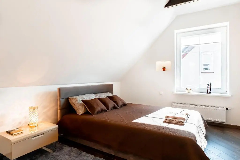 Stylish, modern apartment near Vilnius Old Town
