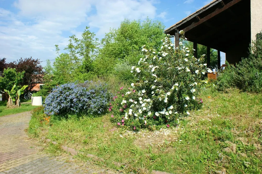 Villa With 3 Bedrooms in Auterive, With Private Pool, Enclosed Garden
