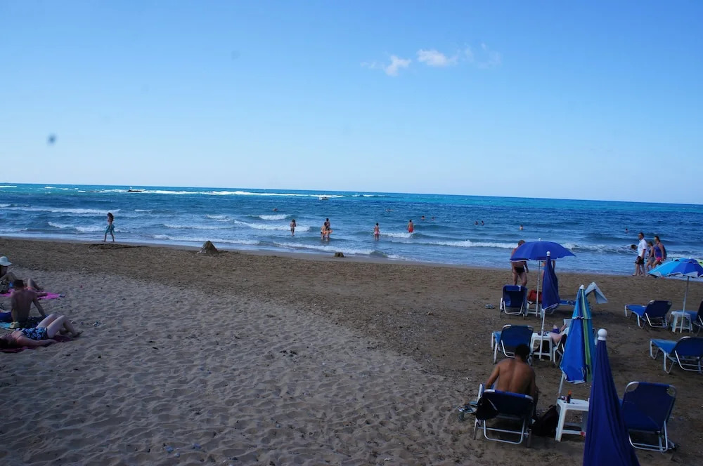 Zeus Hotels Palm Beach