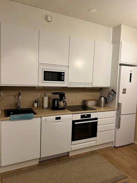 Cozy centre apartament Kuopio