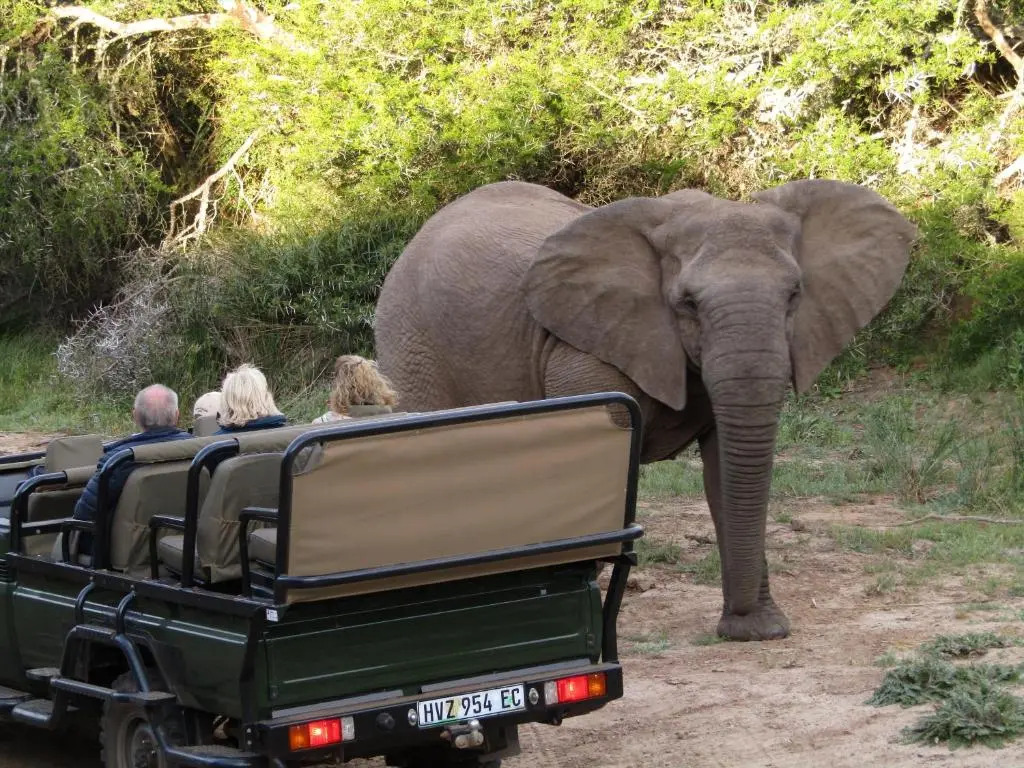 Leeuwenbosch Shearers Lodge - Amakhala Game Reserve