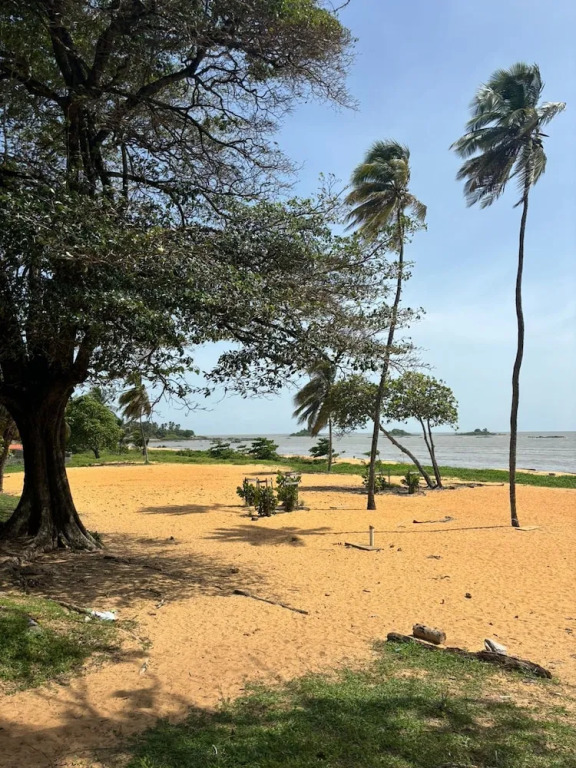 Trésor Caché d'Amazonie Oasis de Calme