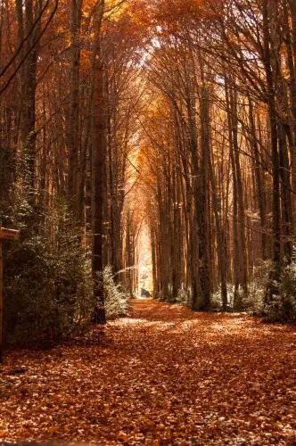 Hotel Urgain