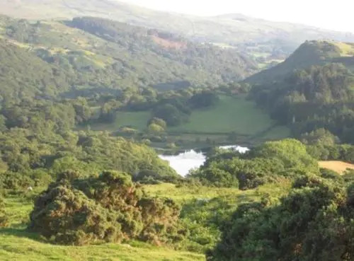 Bryn Derw
