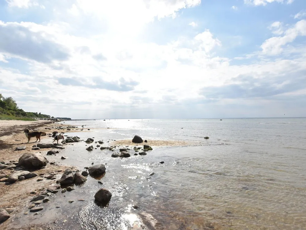 Spacious Apartment in Rakow near Sea
