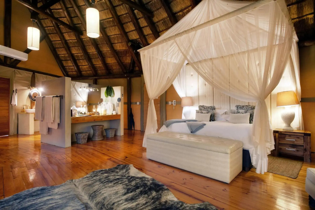 Bush Lodge   Amakhala Game Reserve