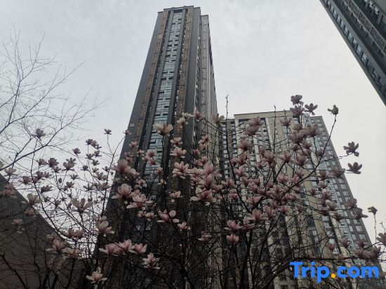 Xinmu Apartment (Wuhan AEON Menglecheng Branch)