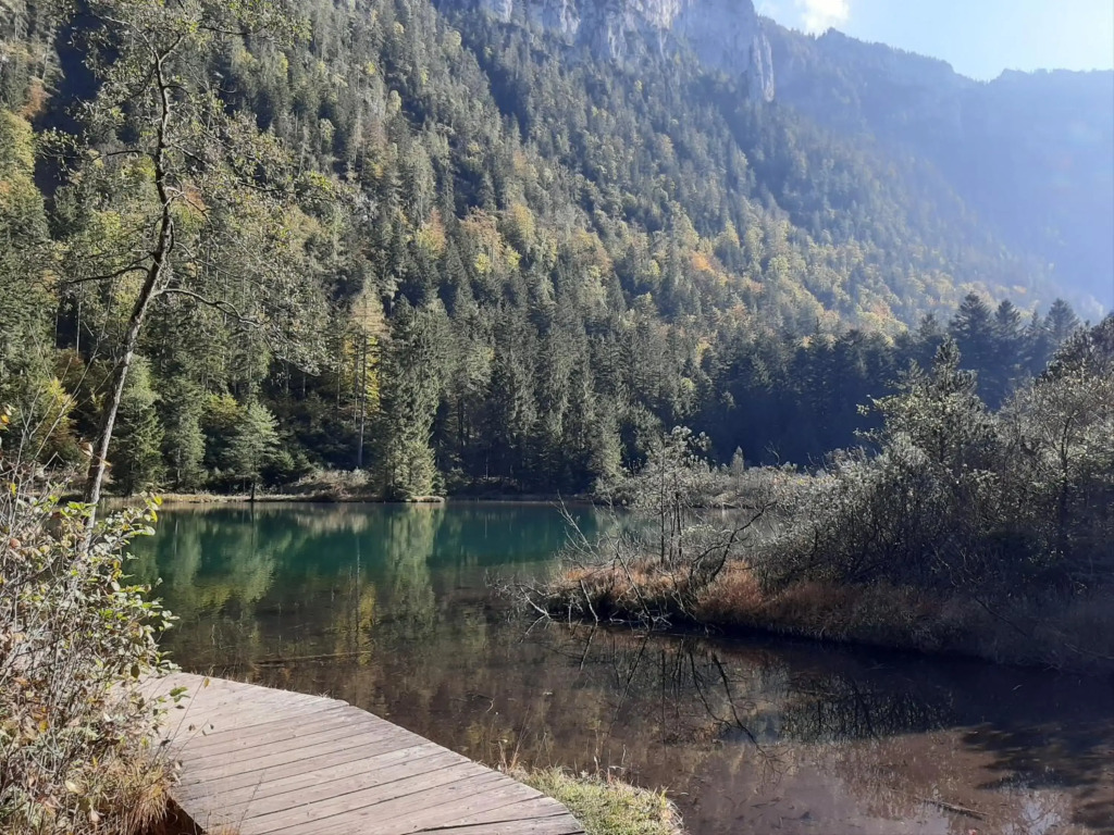Mountain Harmony