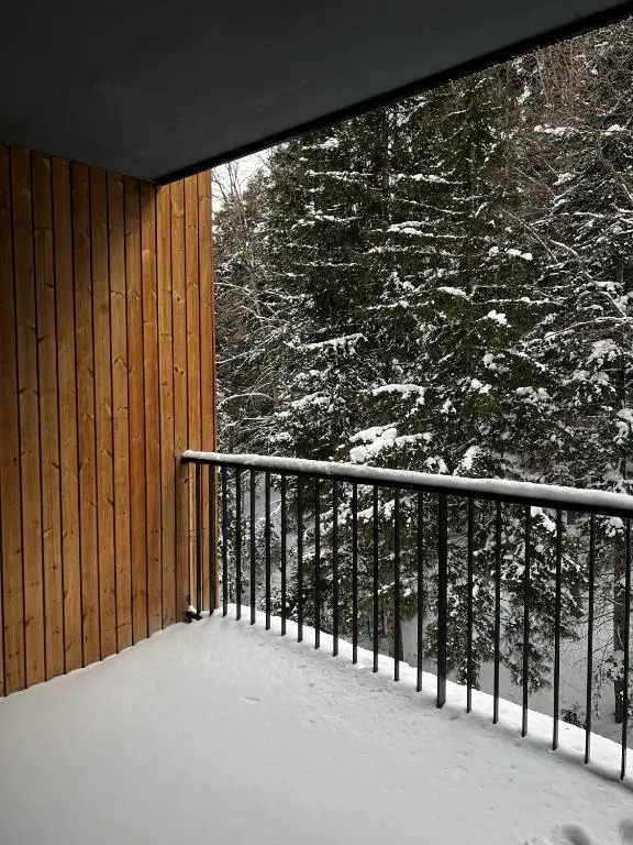 Apartment 216 with Terrace at Kokhta Ski, Bakuriani