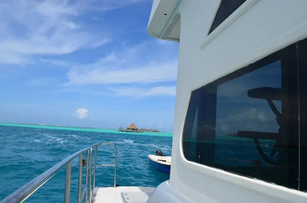Ocean Breeze