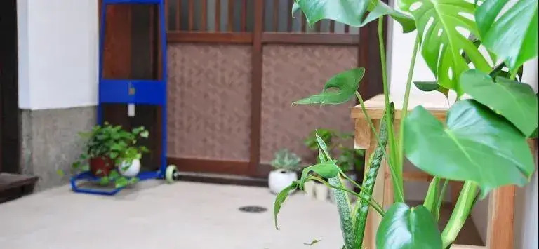 Higashiyama House