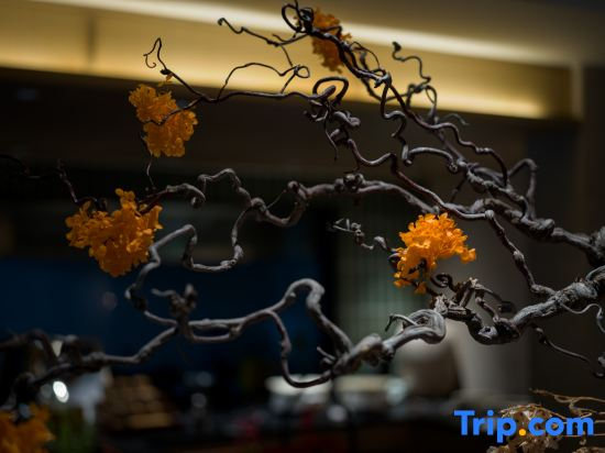 Tengchong Banshan Hot Spring Jingscape