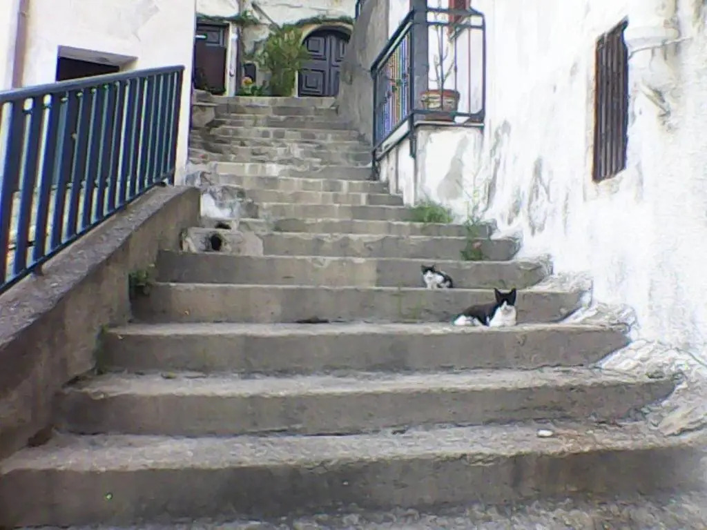 Al vico art