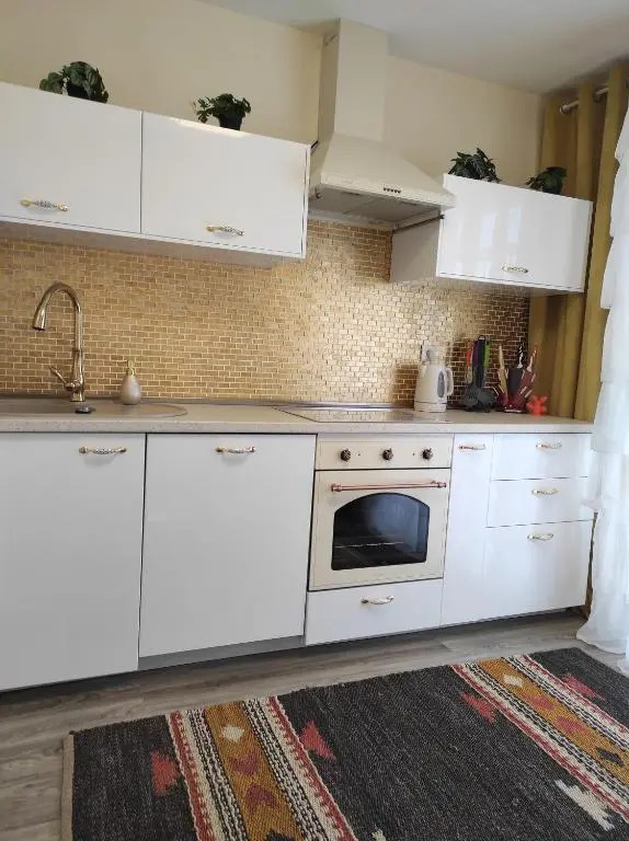 Appartements F3 Design Colmar+Parking Free