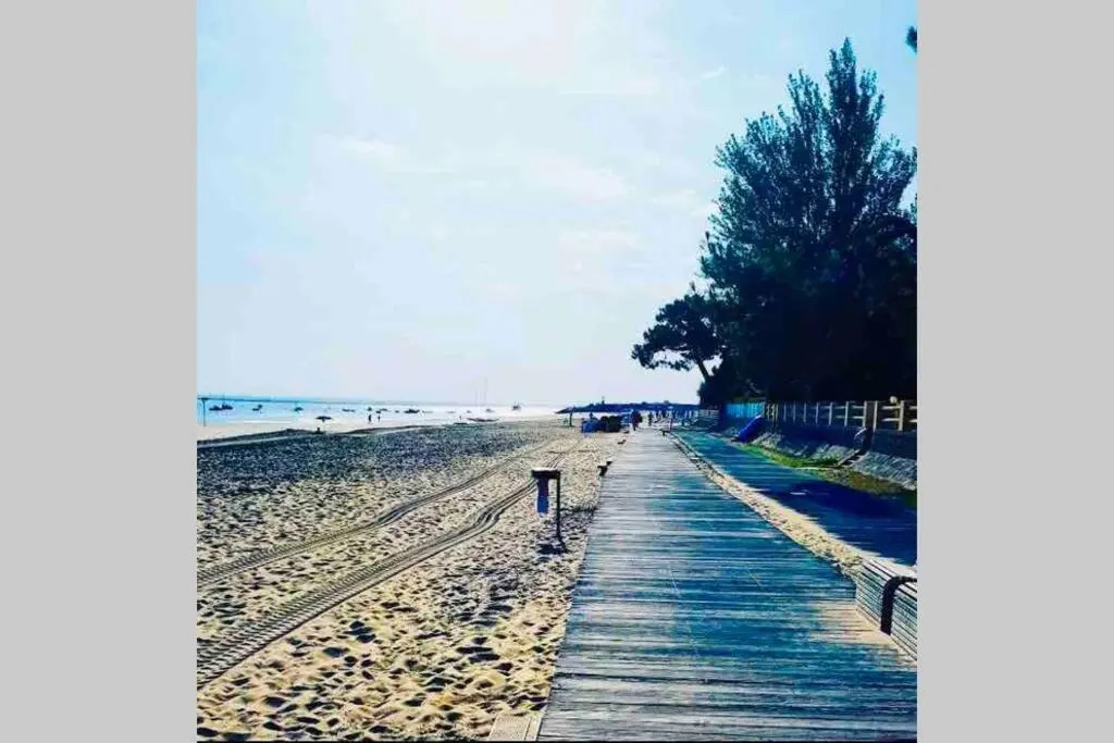 Appt 1 chambre calme clim jardin plage gare proche