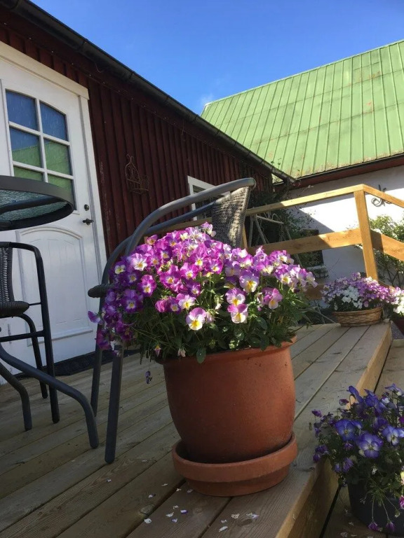 skummeslöv B & B
