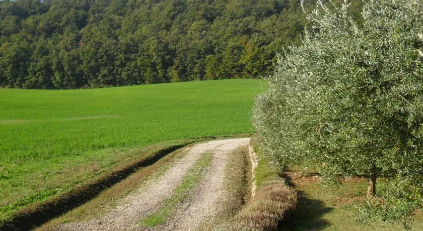 Ca Del Bocca