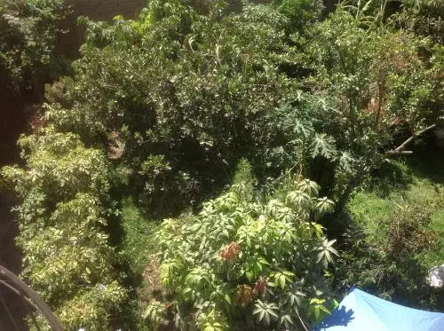 B&B Ecowasi Nasca