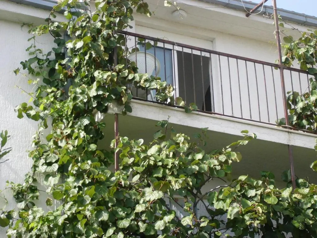 Apartments & Rooms Prižmić Split