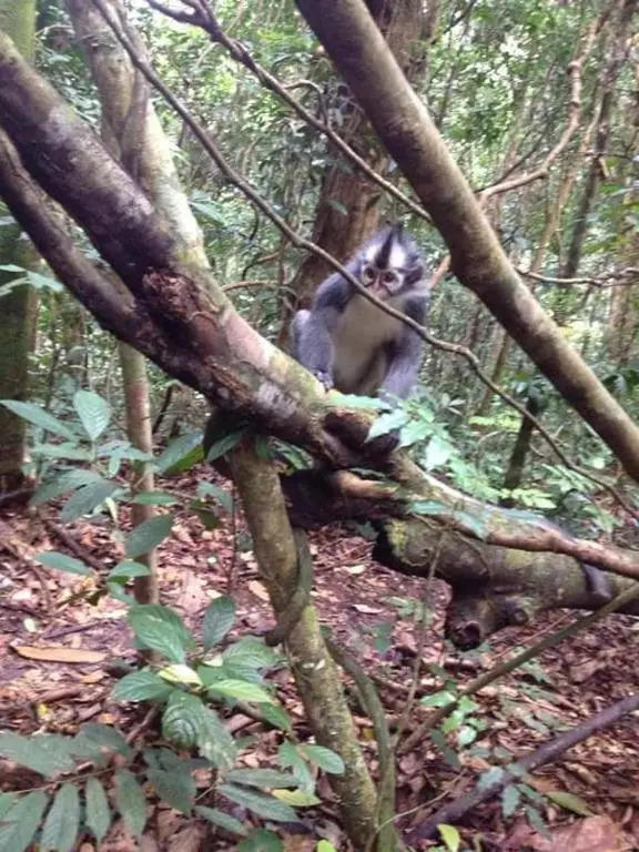 Village Inn & Guest House