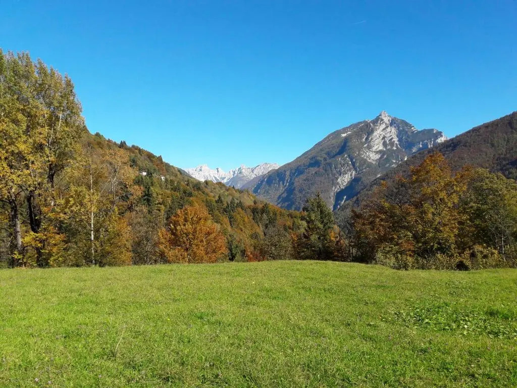 B&B DOLOMIA