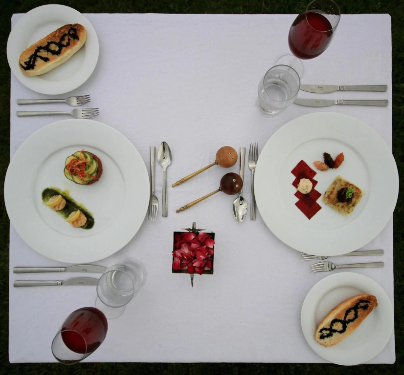 Tree of Life Resort & Spa, Jaipur