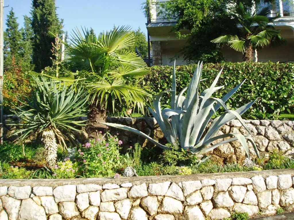Apartments Villa Elizabet