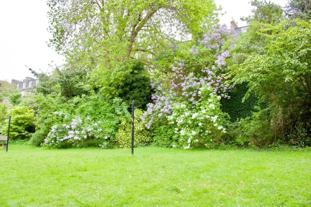 2 Bedroom Flat In Comely Bank
