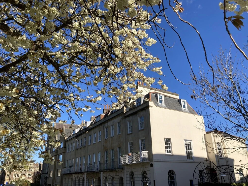 Stylish Studio Apartment in Clifton Village
