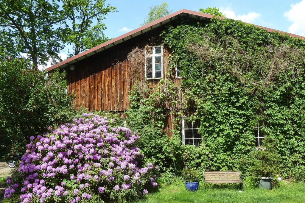 Apartment in a holiday farm, Dorfmark