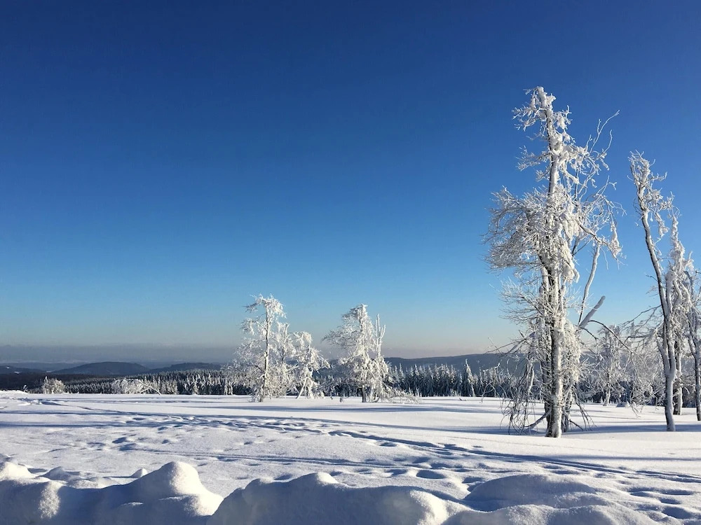 Apartment in the Centre of Winterberg