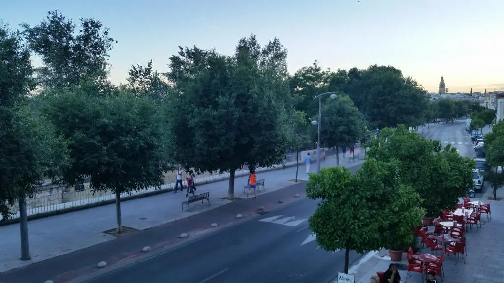 Paseo de la Ribera 32