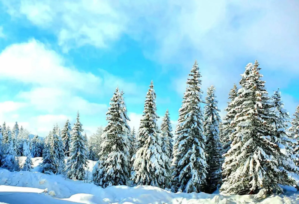 Jahorina 7Lux
