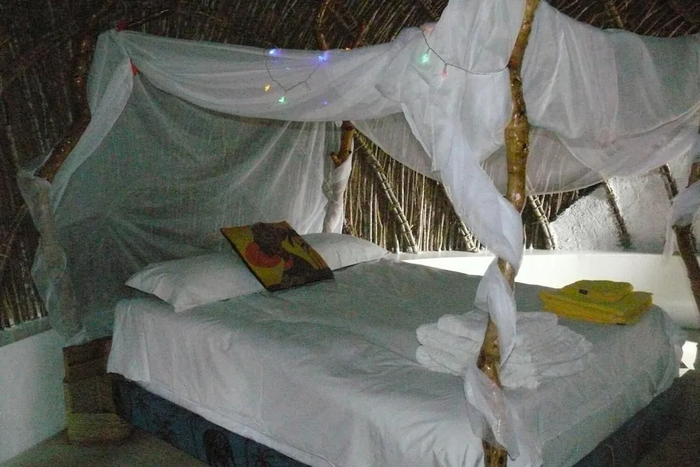 Swazi Dreams