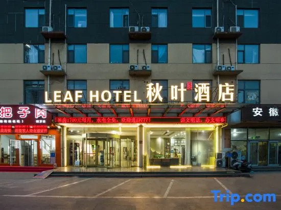 Light Living Hotel Bofa Select