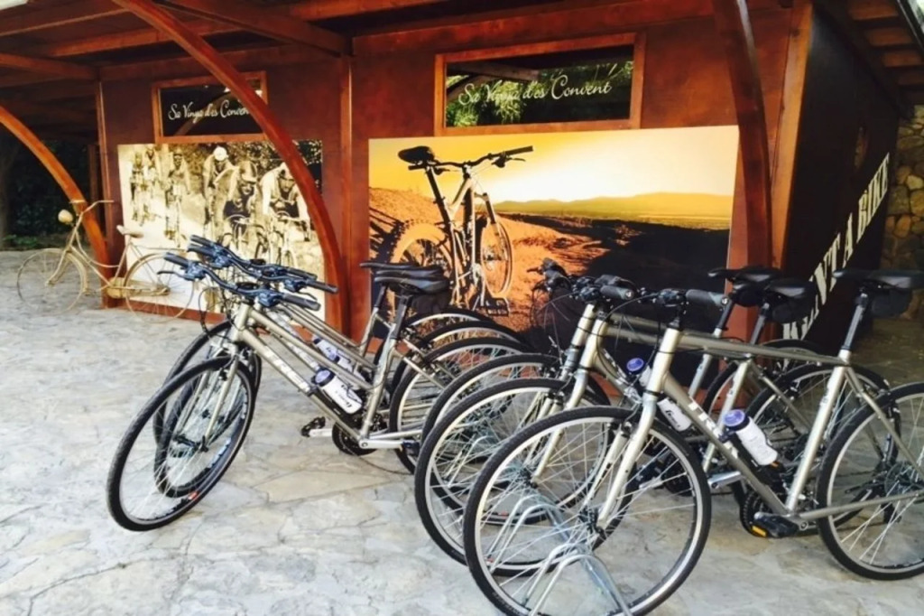 Agroturismo Sa Vinya des Convent