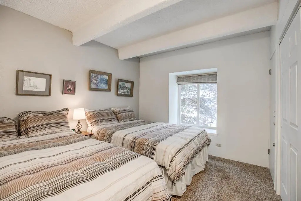 Columbine 105 Condo