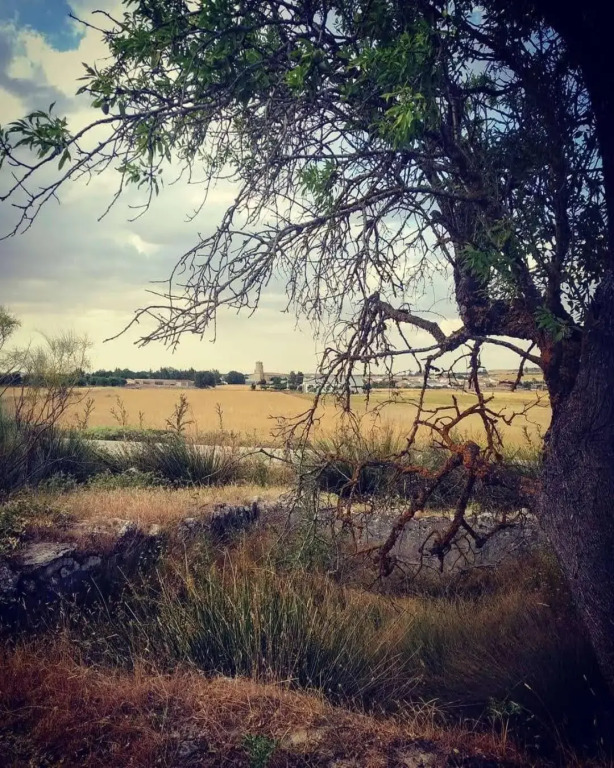Marqueño Turismo Rural