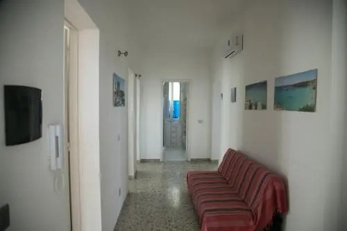 Cavalluccio Marino
