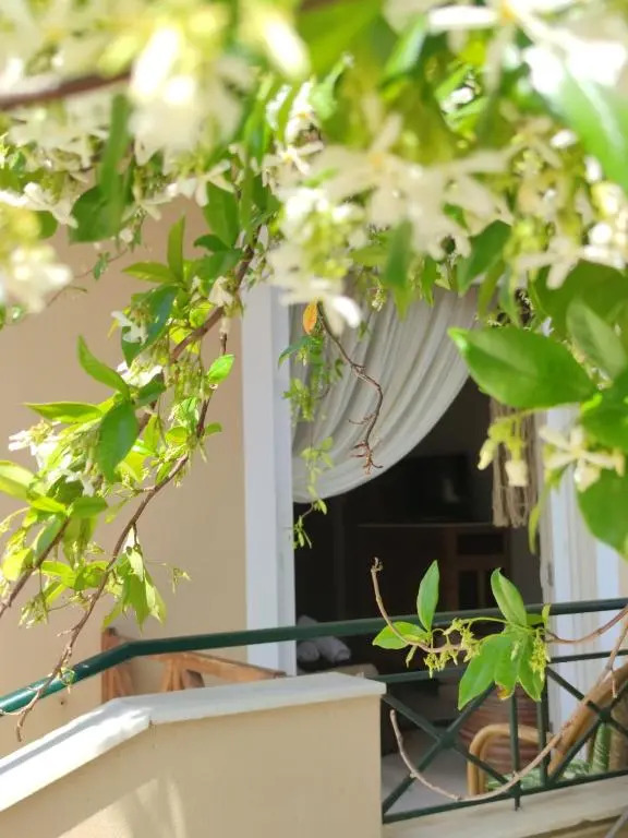 KD Boho Home