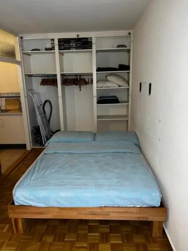 Beautiful Large Studio in center of Geneva Free Wifi