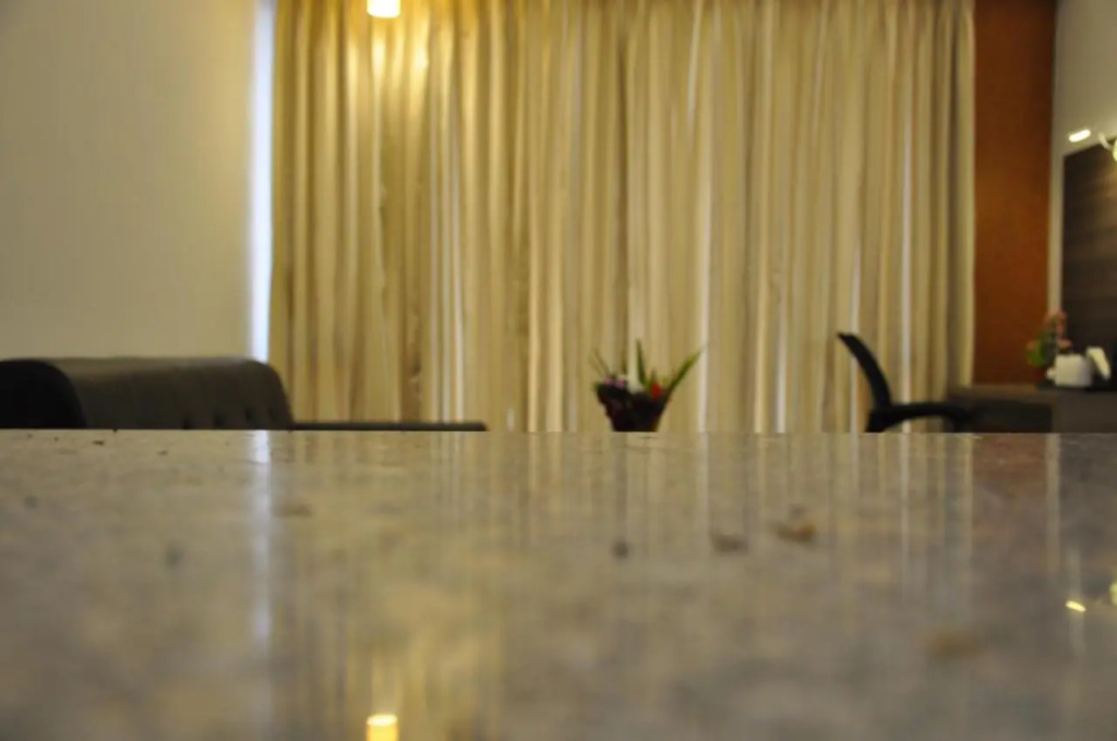 Pride Biznotel Alkapuri Near Vadodara Airport