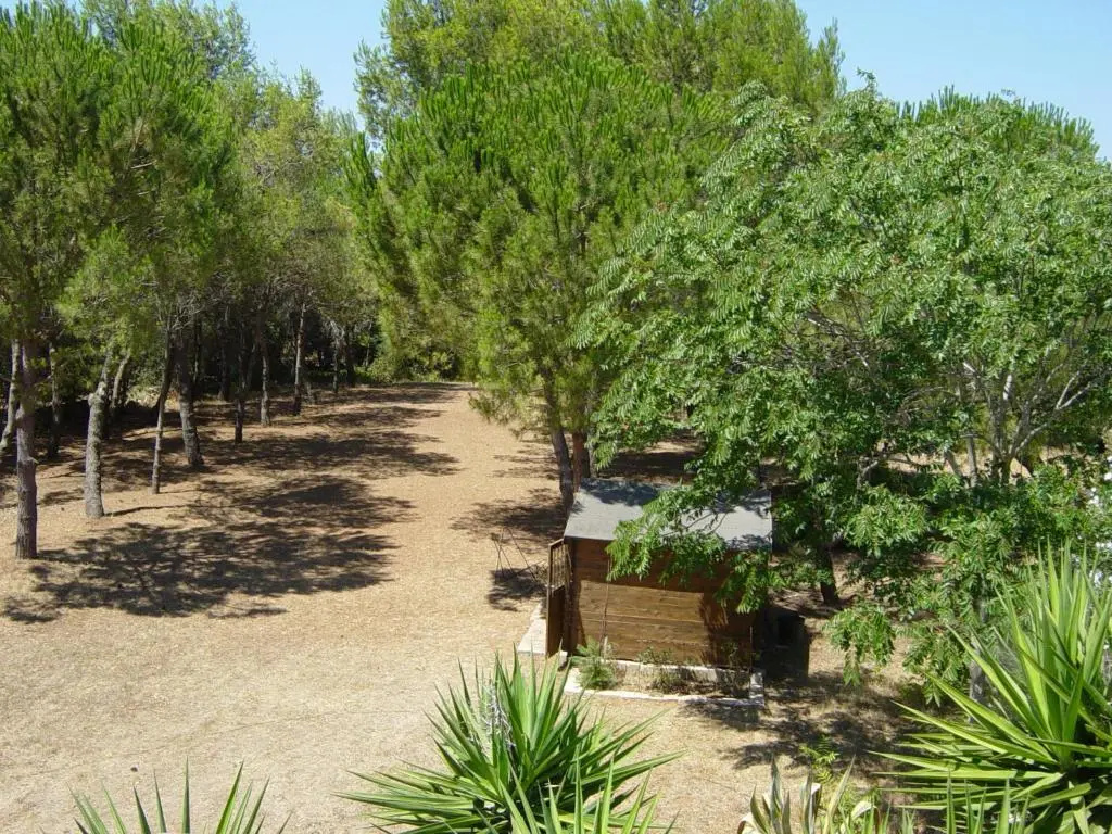 Tenuta Argiano