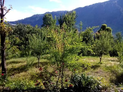 Splendour Manali