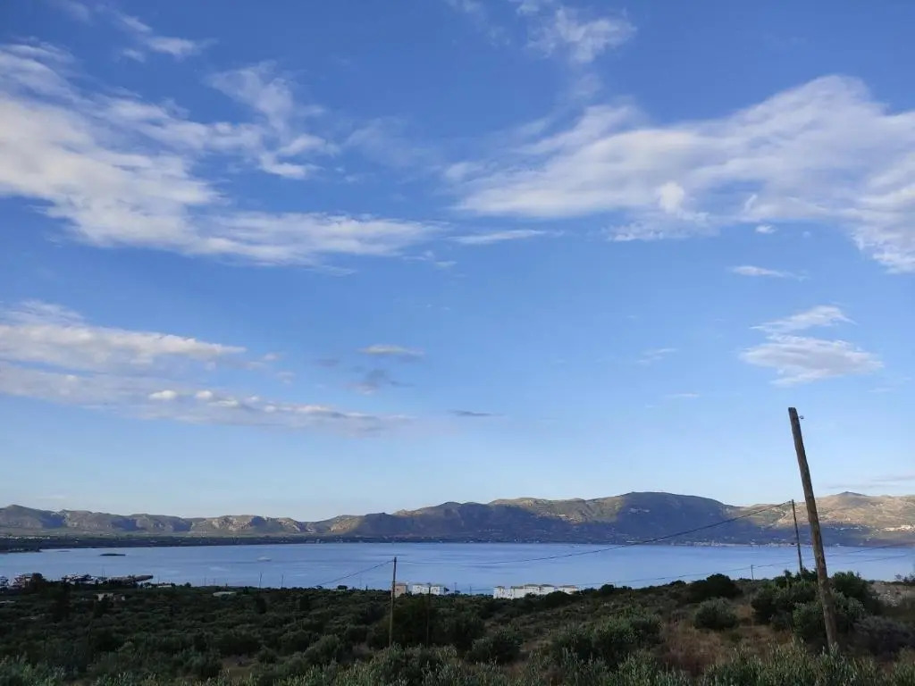 House with Unique View