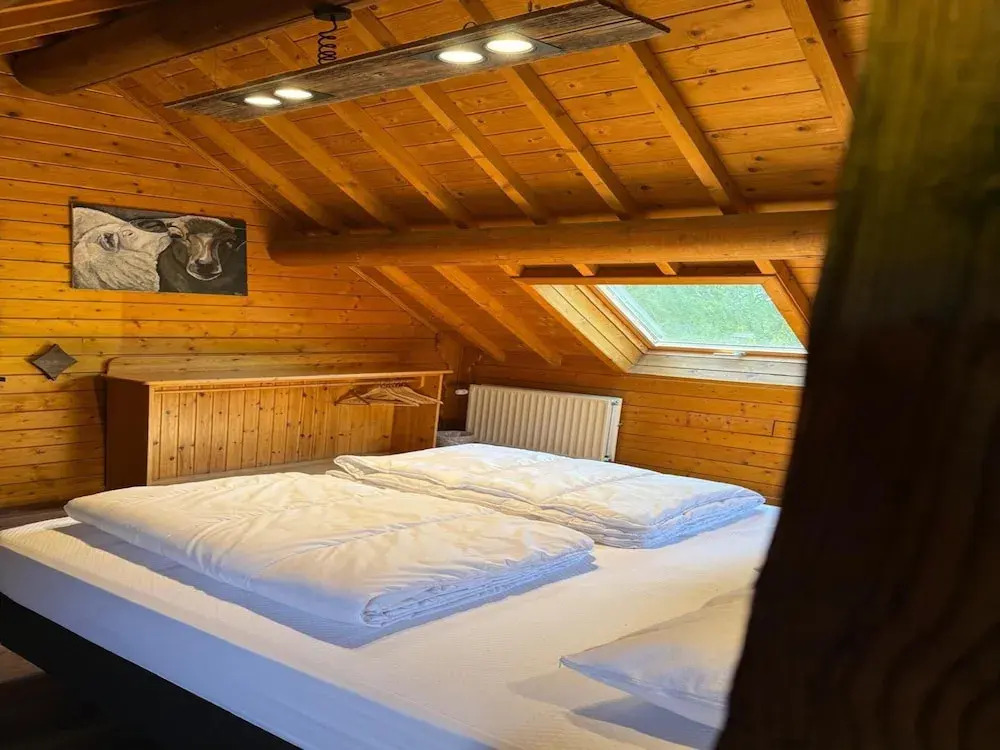 Spacious Chalet in Ovifat