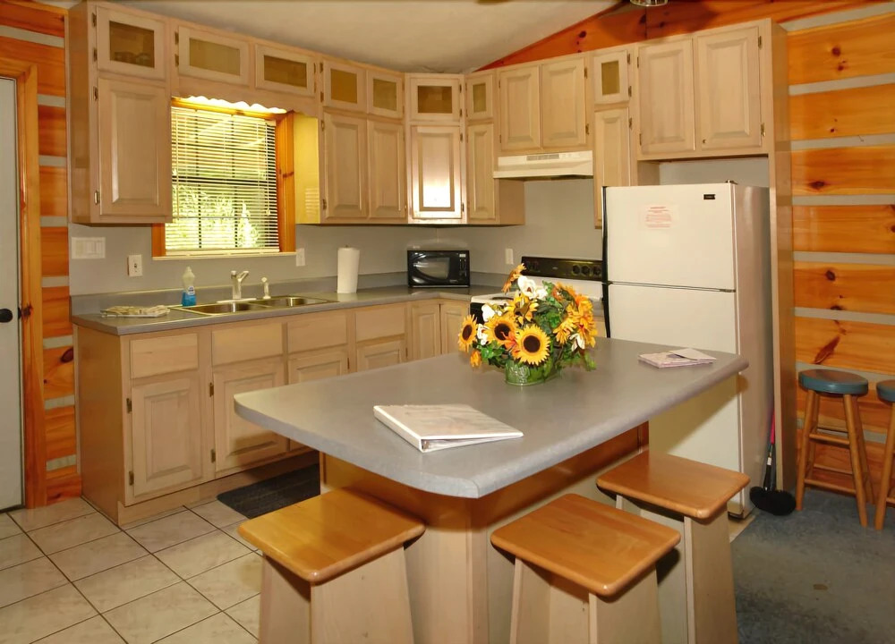 Hook Line and Sinker on Cosby Creek - 2 Br Cabin