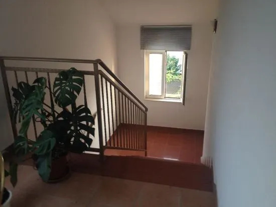 Apartments Bibic