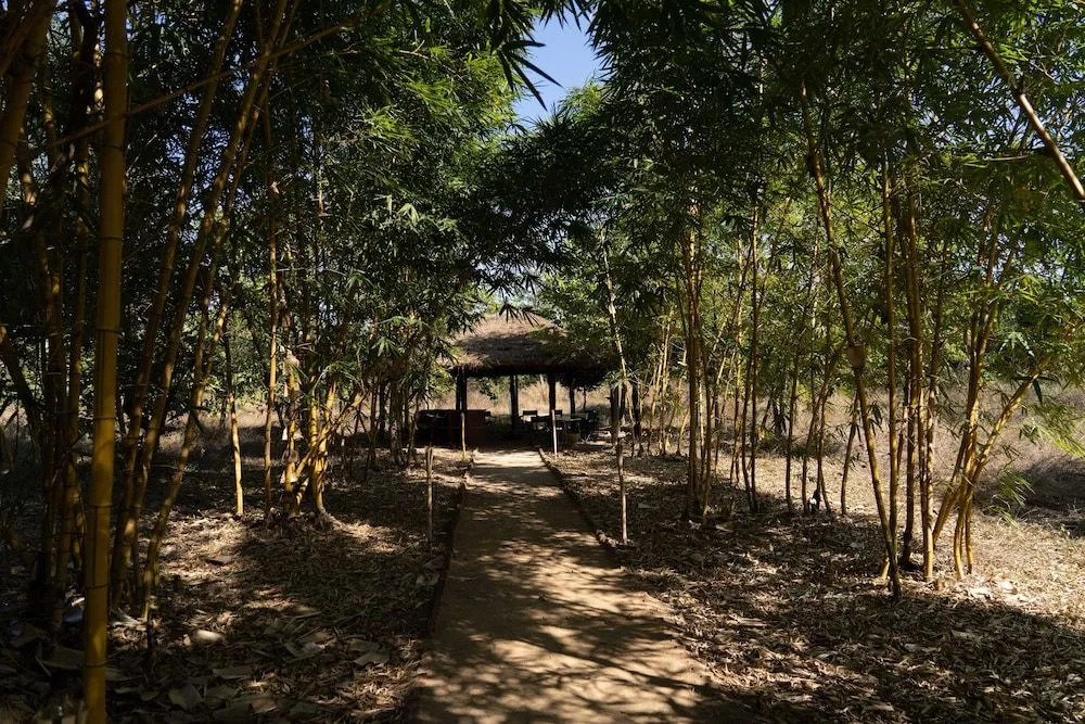 Bagh Tola Bandhavgarh