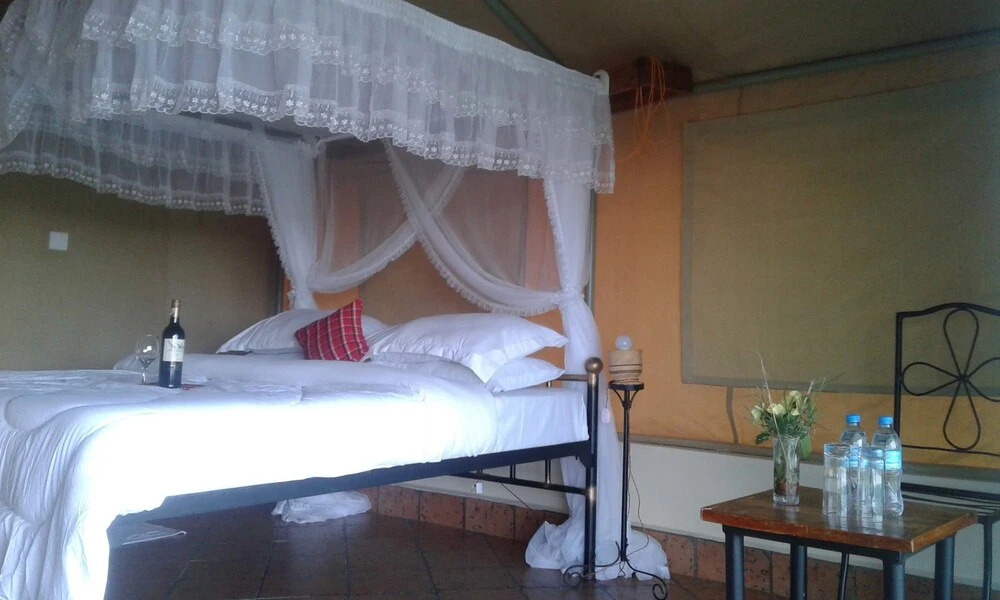Zebra Kemang'ore Bush Tented Lodge